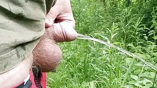 Fette Drecksau Dennis musste pissen