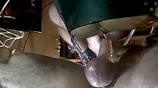 ALPHA BEAR FUCKS MUSCLE BULL RAW & THICK CUM DRIPPING