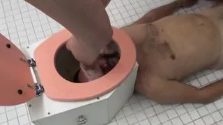 Pissed on and milked in the smother box!