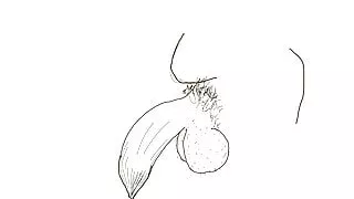 Lets draw a big black uncircumcised cock