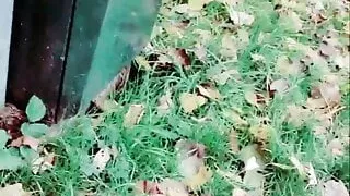 Slutboyben CAM4 Tasty Oral Jelly Fun V