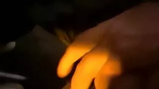 Mit Schwanz im Bus spielen