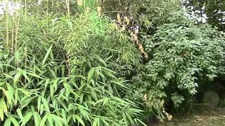 Perfect Orgasm - (Full Movie HD Original uncut Version)