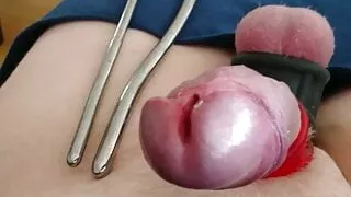 Ich mache ein bisschen Sounding und beende das Ganze mit einem Schwanz-Plug.