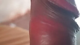 Desi Village Lund Hide Camera