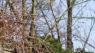 Amateur nun gets nailed by mature priest