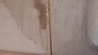 A very strong piss on the couch