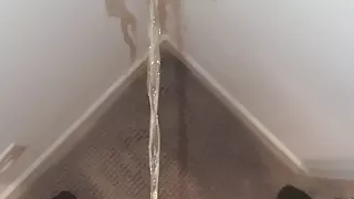 Piss in corner of relief