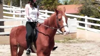 Sexy couple touching each other’s bodies on a wooden horse