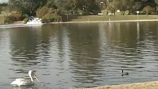 Please fuck my WIFE!!! - vol #01