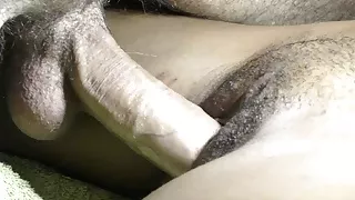 Black pussy loves white cock and hot sperm