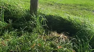 Jerked off in the nature