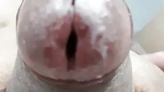 Zito kopela na tin xyno