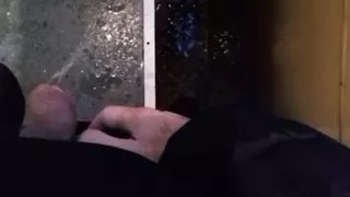 Pissing exposed on the train