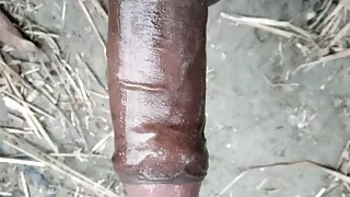 xhamster sex video xhamster sex video