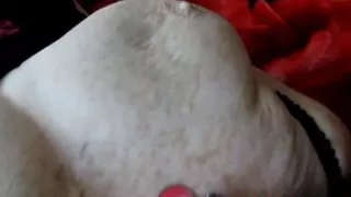 Hard Fucking and Cum