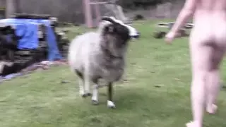 the best lesbians - great lesbo whores