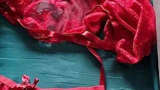 New Christmas lingerie for my wife