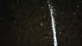 Night pissing. Part 2. Nice cock, home made. cute cock, dick