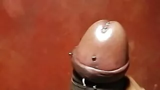 Mein Schwanz Mein Schwanz, du masturbierst zu ihm, heißer großer Schwanz