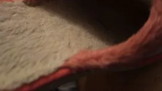 Young neighbor's slippers part 1