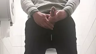 Auf der Bürotoilette wichsen