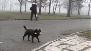 LA PORCONA DEL PARCO DI MILANO!!! - Episode #02