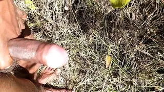 Forest inside hand job  alone boy