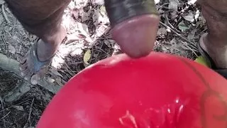 XHamster sex video Xhamster sex Xhamster sex