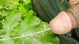 My hair handjob outdoor