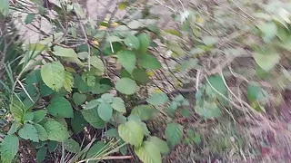 After sex land view my dick to suck