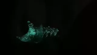 Using my glow in the dark dildo