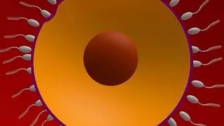 December Day 6 SFM & Blender Porn Compilation