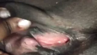 Black pussy