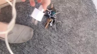 Walk with Goddess, my foot bitch