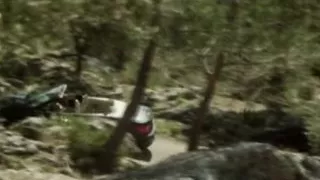 Calista Licks The Sweet Pussy Of Sherry