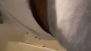 Bet You didn't know Buttercup could Twerk