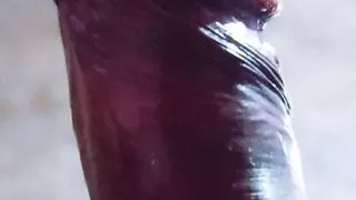 Bihar Wala Desi Lund Flashing Big Penis