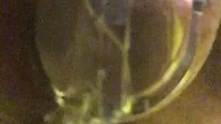 Pipi cage de chastete