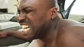 LEXINGTON STEELE - My Nasty Nymphos - Chapter 08