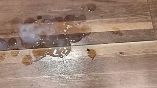 Male Masturbation, need pussy, ass is fine too, aunty needed