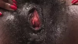 Pack dein Schwanz aus und fang an zu Wichsen !