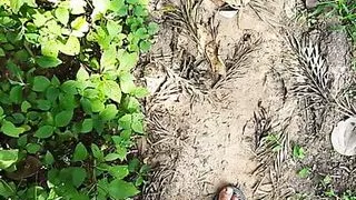 Walking naked outdoor Part 3 Indian guy in the forest, cock