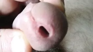 Spritzer 2811 Ich Spiele gerne mit meinen Schwanz