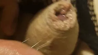 Tiny uncut dick so wet with precum