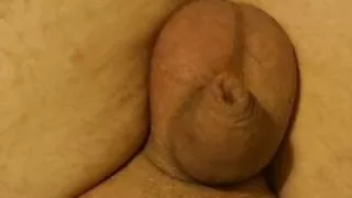 Small uncut shaven cock