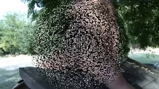 Master Hector tied up sub Bianca at his farm outdoors