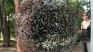 Master Hector torments sub Bianca on top of a kennel