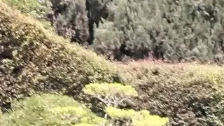 Assploitations 8 Scene-4