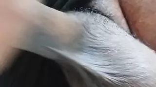 You Always Be Authorized With My Big Dick